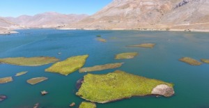 Adıyaman Çat Baraj göletindeki bu adacıklar yerinde durmuyor